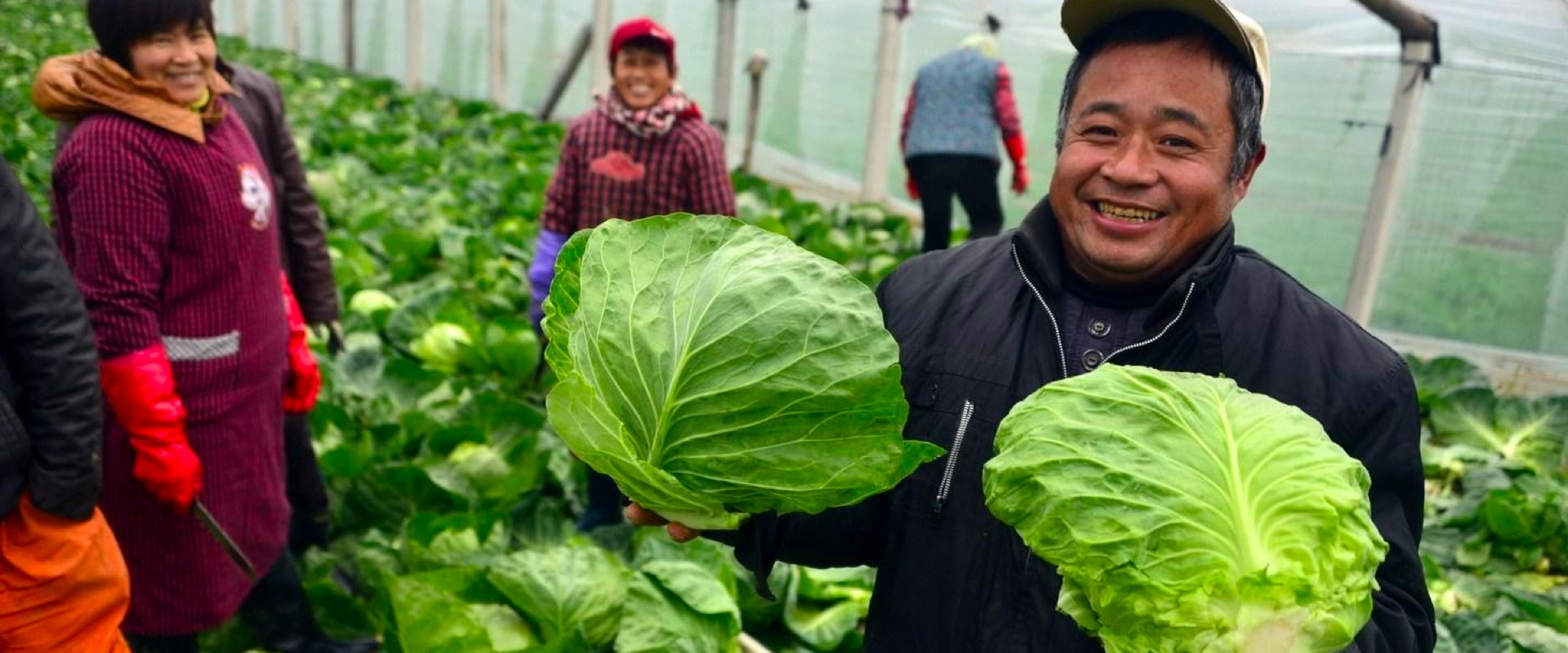 智慧互联网+农业